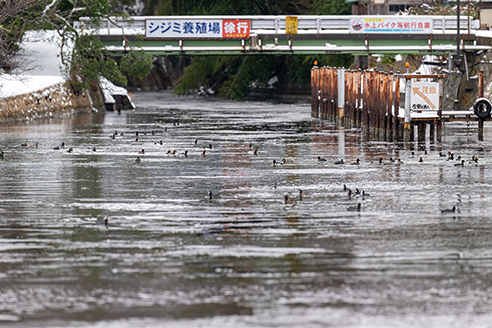 三方五湖ネイチャークルーズのフォトクルーズを開催