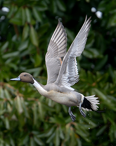 三方五湖ネイチャークルーズのフォトクルーズを開催
